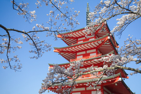 Japan red pagoda with sakura cherry blossom in beautiful spring seasonの写真素材