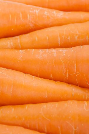 Close - up Fresh and sweet carrotの写真素材