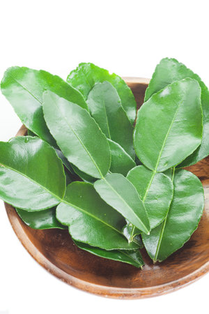 Fresh kaffir lime leaf isolated on white backgroundの写真素材