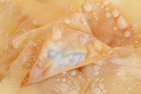 Delicious  appetiser chinese cuisine deep fried wonton