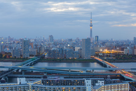 Tokyo city view and Tokyo sky tree in twilight time