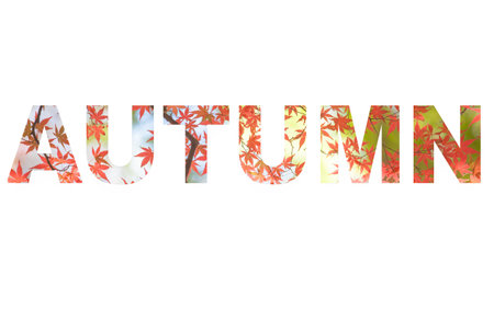 Autumn letter sign with photo background isolated on white backgroundの写真素材