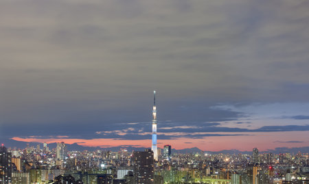 Tokyo city view with Tokyo sky tree landmark