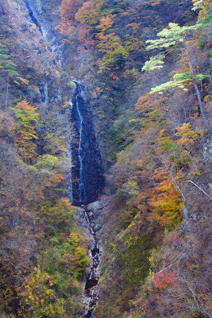 Small waterfall and autumn tree forest at high mountainの写真素材