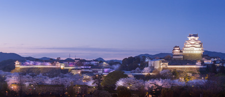 Japan Himeji castle with light up in sakura cherry blossom seasonのeditorial素材