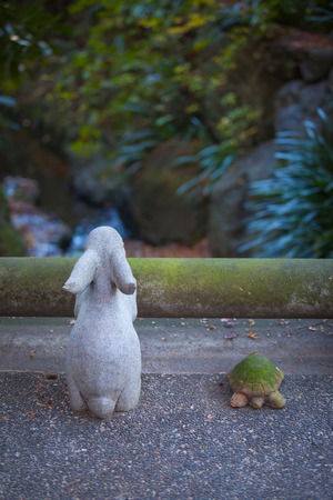 Detail of A Japanese garden in summerの写真素材