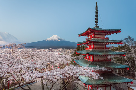 Mountain Fuji and red pagoda in cherry blossom sakura seasonの写真素材