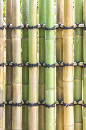 Close - up Asian style green bamboo wood fenceの写真素材