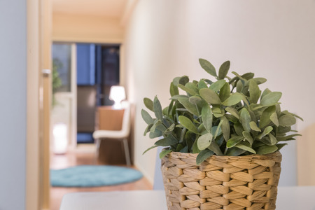 Plastic flower with bamboo pot for Home decorationの写真素材