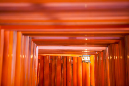 Thousands of vermilion torii gates at Kyoto Fushimi Inari Shrineのeditorial素材