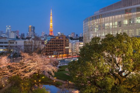Tokyo tower and Sakura cherry blossom in Japan spring seasonのeditorial素材