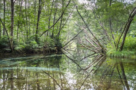 Kamikochi , A popular resort in the Northern Japan Alps of Nagano Prefectureの写真素材