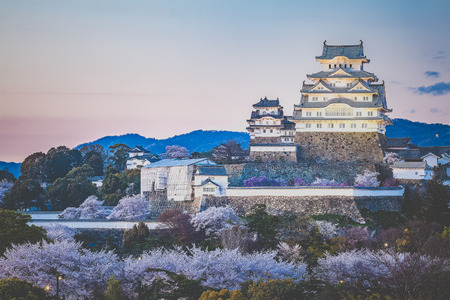 Japan Himeji castle with light up in sakura cherry blossom seasonのeditorial素材