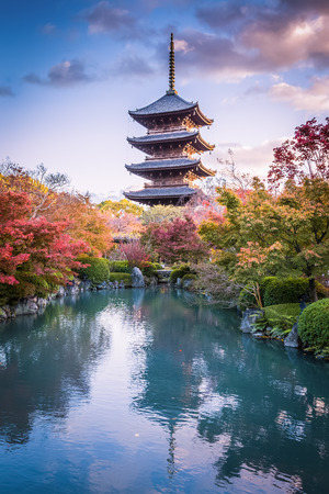 Toji temple in Kyoto prefecture in autumnのeditorial素材