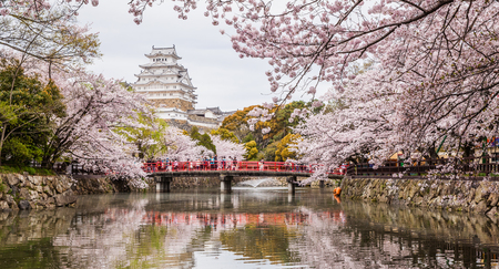 Japan Himeji castle , White Heron Castle in beautiful sakura cherry blossom seasonのeditorial素材