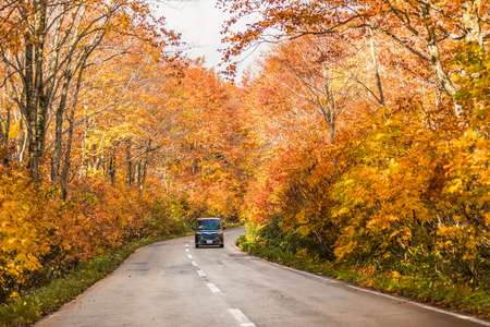 Hakkoda gold line at Aomori prefecture in autumnのeditorial素材