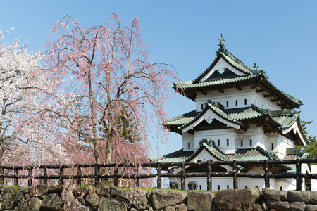 Hirosaki castle and Sakura cherry blossom tree in spring. Hirosaki castle tower is not that big but itâs the only one castle tower in Tohoku area which rebuilt at Edo Period.のeditorial素材