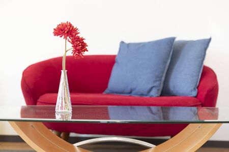 Flowers in a vase on the table and sofa in the living roomの素材 [FY310126036713]