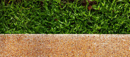 Panorama of Brown polished sandstone floor and green grass background seamlessの写真素材