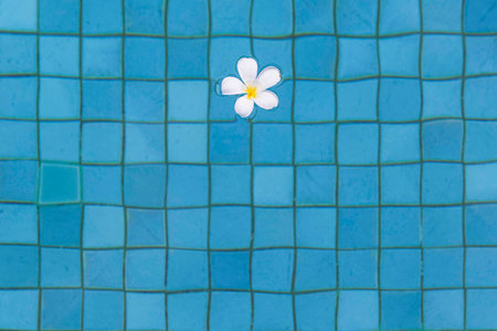 The flowers float in the water at the pool inside the hotel for use as a backgroundの写真素材