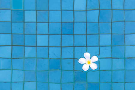 The flowers float in the water at the pool inside the hotel for use as a backgroundの写真素材