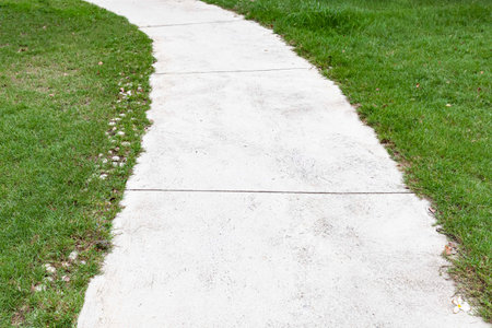 Long concrete walkway in the summer green garden