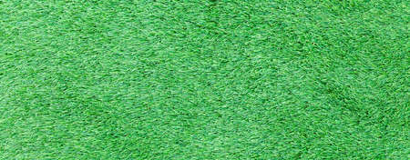 Panorama of New Green Artificial Turf Flooring texture and background seamlessの写真素材