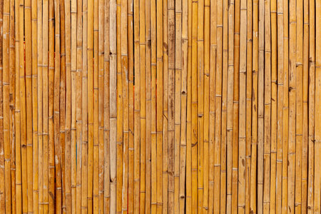 Brown old Bamboo fence texture and background seamlessの写真素材