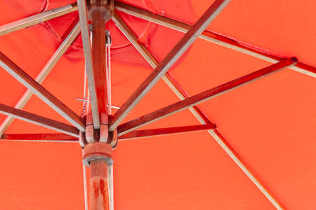 Close-up light brown stem garden umbrellaの写真素材
