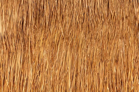 Brown leaf wall pattern and background seamlessの写真素材