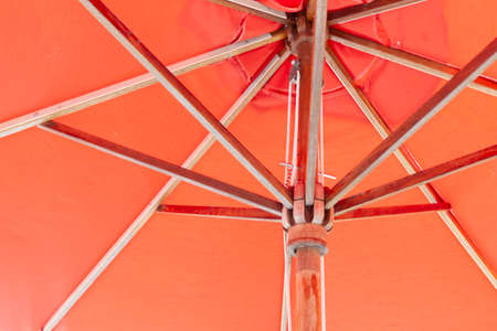 Close-up light brown stem garden umbrellaの写真素材