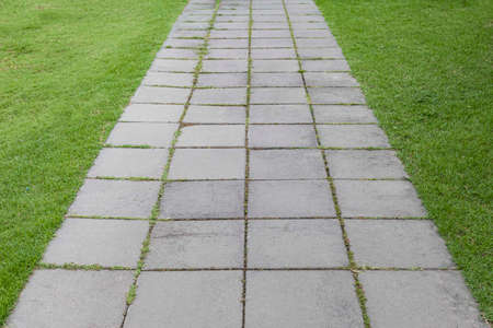 Long concrete walkway in the summer green gardenの写真素材