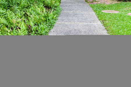 Long concrete walkway in the summer green gardenの写真素材