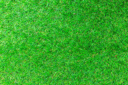 New Green Artificial Turf Flooring texture and background seamlessの写真素材