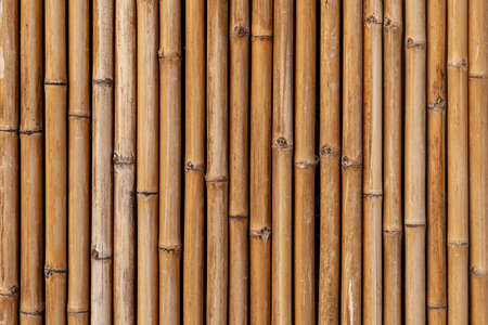 Brown old Bamboo fence texture and background seamlessの写真素材