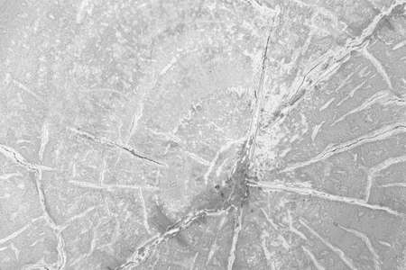 Close - up white stump pattern texture and background seamlessの写真素材