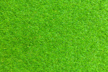 New Green Artificial Turf Flooring texture and background seamlessの写真素材