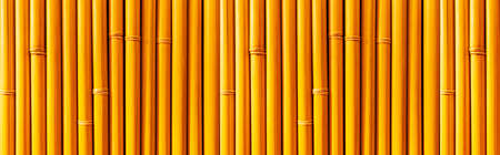 Panorama of Brown old Bamboo fence texture and background seamlessの写真素材