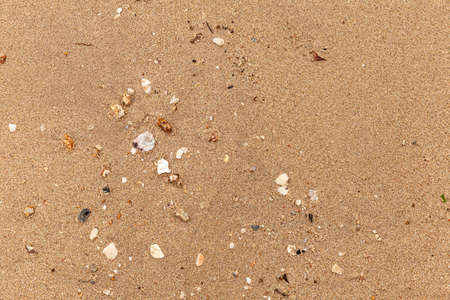 Sand texture. Sandy beach for background. Top view. Natural sand stone texture background. sand on the beach as background. Wavy sand background for summer designsの写真素材