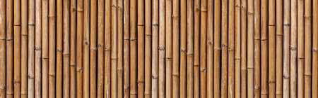 Panorama of  Brown old Bamboo fence texture and background seamlessの写真素材