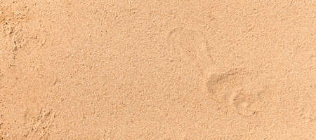 Panorama of Sand texture. Sandy beach for background. Top view. Natural sand stone texture background. sand on the beach as background. Wavy sand background for summer designsの写真素材