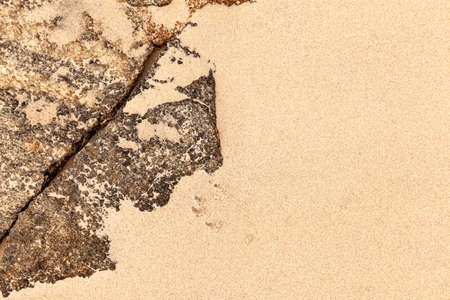 Sand texture. Sandy beach for background. Top view. Natural sand stone texture background. sand on the beach as background. Wavy sand background for summer designsの写真素材
