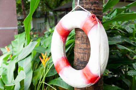 Life buoys for tourists are prepared in front of the resort hotelの写真素材