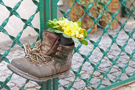 creative flowerの写真素材