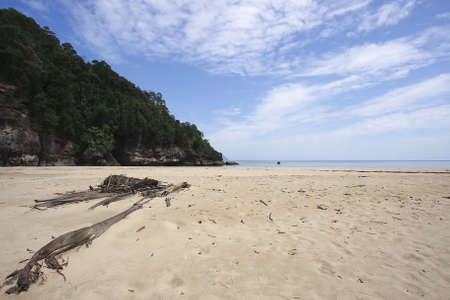 secluded beach in Bako, Borneoの写真素材