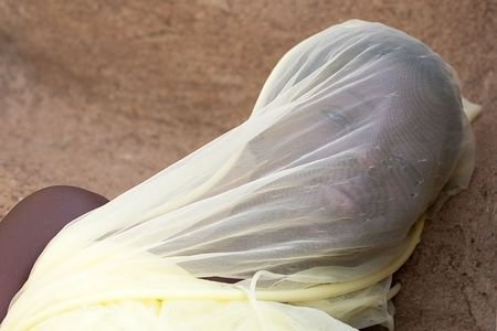 Tiebele, Burkina Faso - August 10,2009: Women of ethnic Gourounsi posing with his face covered, Gouronsi women are responsible for chores and farming.のeditorial素材