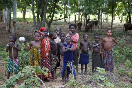 Gaoua,Burkina Faso - August 11,2009 : Children of the Mossi ethnic group tending the cattle, the children are responsible for monitoring the field and animals.のeditorial素材