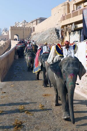 Jaipur,India - December 27,2009 : Climb to Amber Fort, hundreds of people daily visiting Amber Fort riding on elephant.のeditorial素材