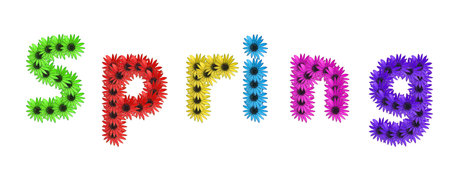 spring daisies into the word