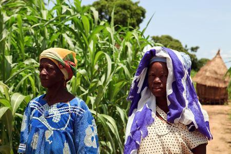 Country Bissa, Burkina Faso - August 9, 2009: Women  Bissa ethnic group, ethnic women working in the field Bissa growing millet and sorghumのeditorial素材